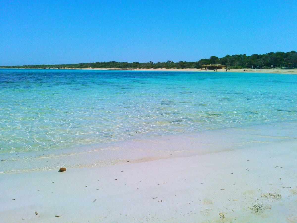 White - Enjoytheseaincolonia We Rent Only From Sat To Sat *