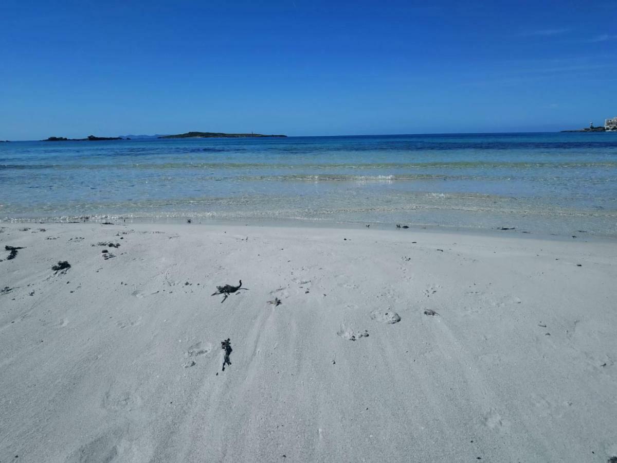 White - Enjoytheseaincolonia We Rent Only From Sat To Sat Colònia de Sant Jordi
